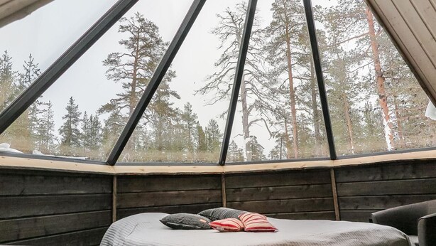 Une chambre confortable dans un chalet, avec une grande fenêtre donnant sur de grands arbres.
