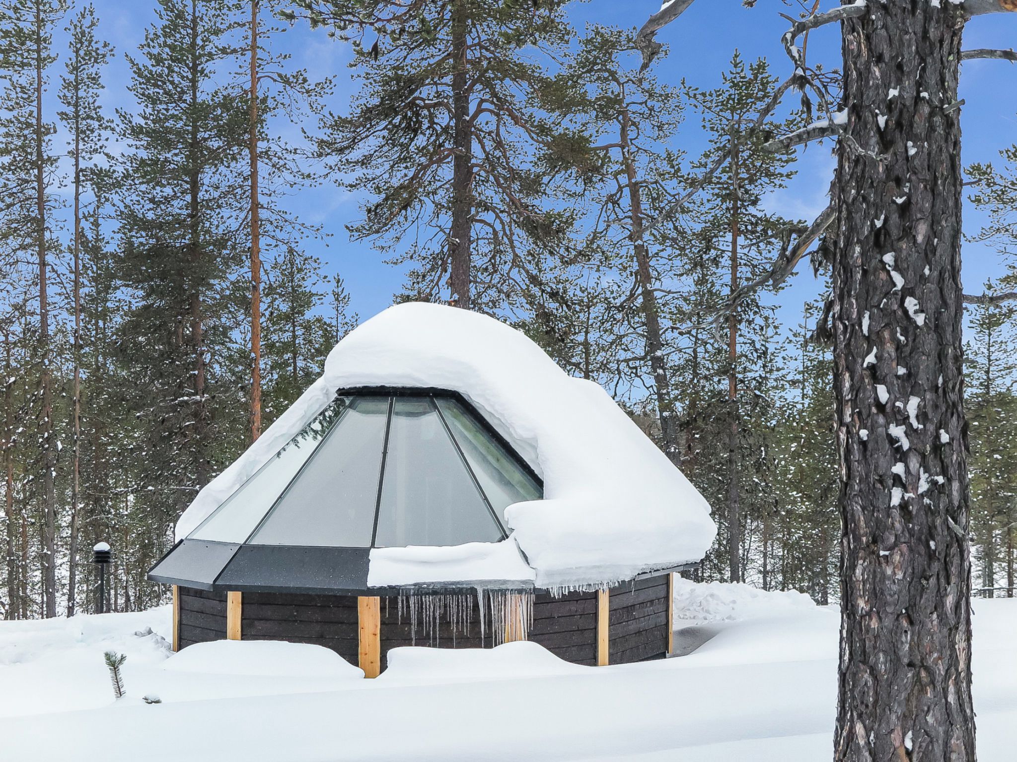 Une cabane en bois recouverte de neige, avec un toit en pente et une fenêtre en verre, entourée d’une forêt.