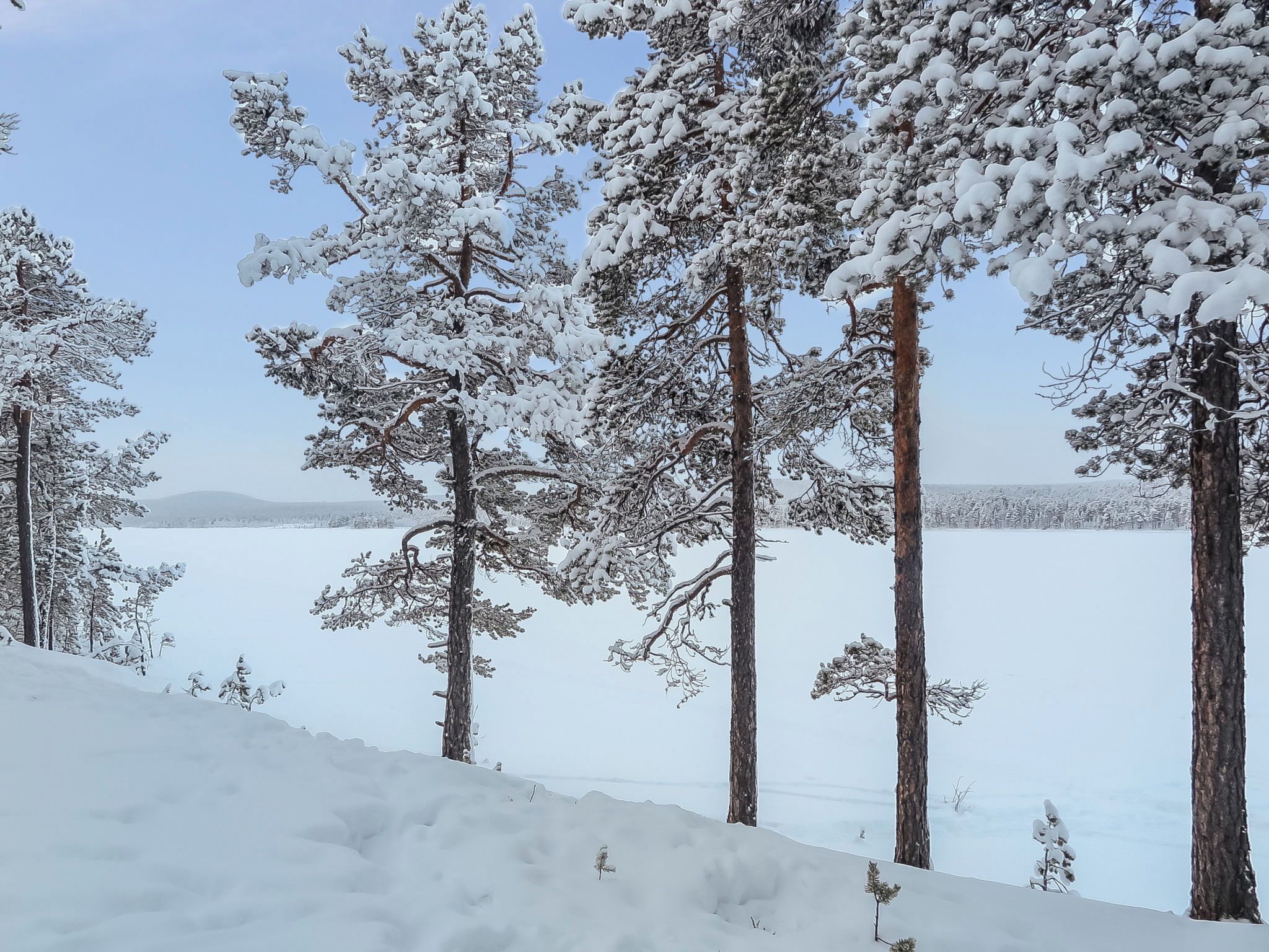 Schneebedeckte Landschaft mit Bäumen und einem zugefrorenen See.