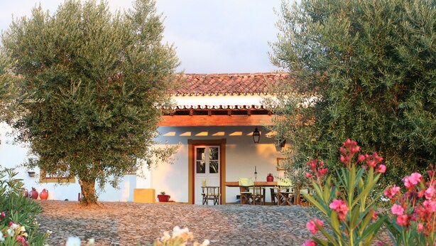 A rustic building with a tiled roof, a cobblestone patio, and a garden with flowering plants.