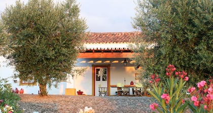 Monte da Tarouca || Puro Alentejo