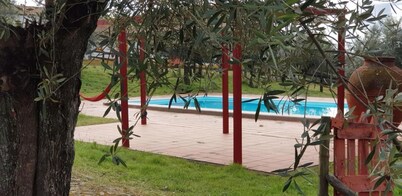 Monte da Tarouca || Puro Alentejo