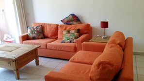 TV, DVD player, books, stereo