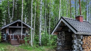 Uklassifisert bilde, 3 av 27, knapp