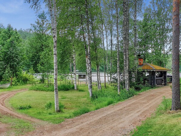 En smal stig leder fram till en enkel stuga med ett plåttak, omgiven av björkträd och en gräsyta.