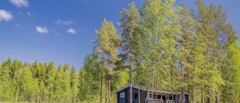Eksteriør