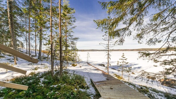 A wooden pathway leading through a snowy forest with tall trees and a clear sky.