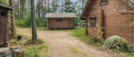 A rustic cabin with a dirt path leading to it, surrounded by tall trees.
