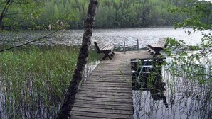 En träbrygga som sträcker sig ut i en sjö, omgiven av tät skog.