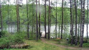 Ett skogsområde med en stig som leder till en brygga vid ett vattendrag.