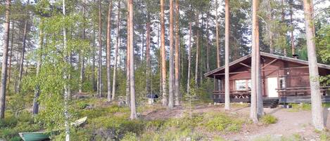 En hytte omgivet af høje fyrretræer, en moler, der strækker sig ud i en rolig sø, og en lille båd på stranden.