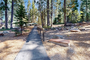 Stroll through a serene forested area surrounded by tall evergreen trees and large rocks.