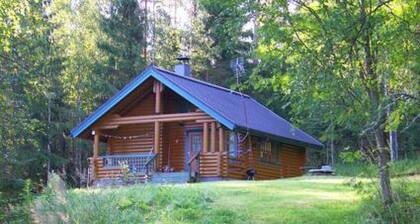 Liisan pirtti by Interhome