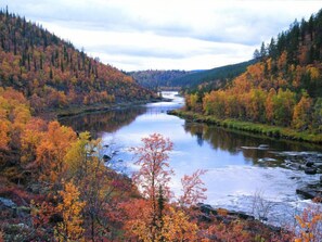 Un río rodeado de follaje otoñal, con un paisaje boscoso a ambos lados.