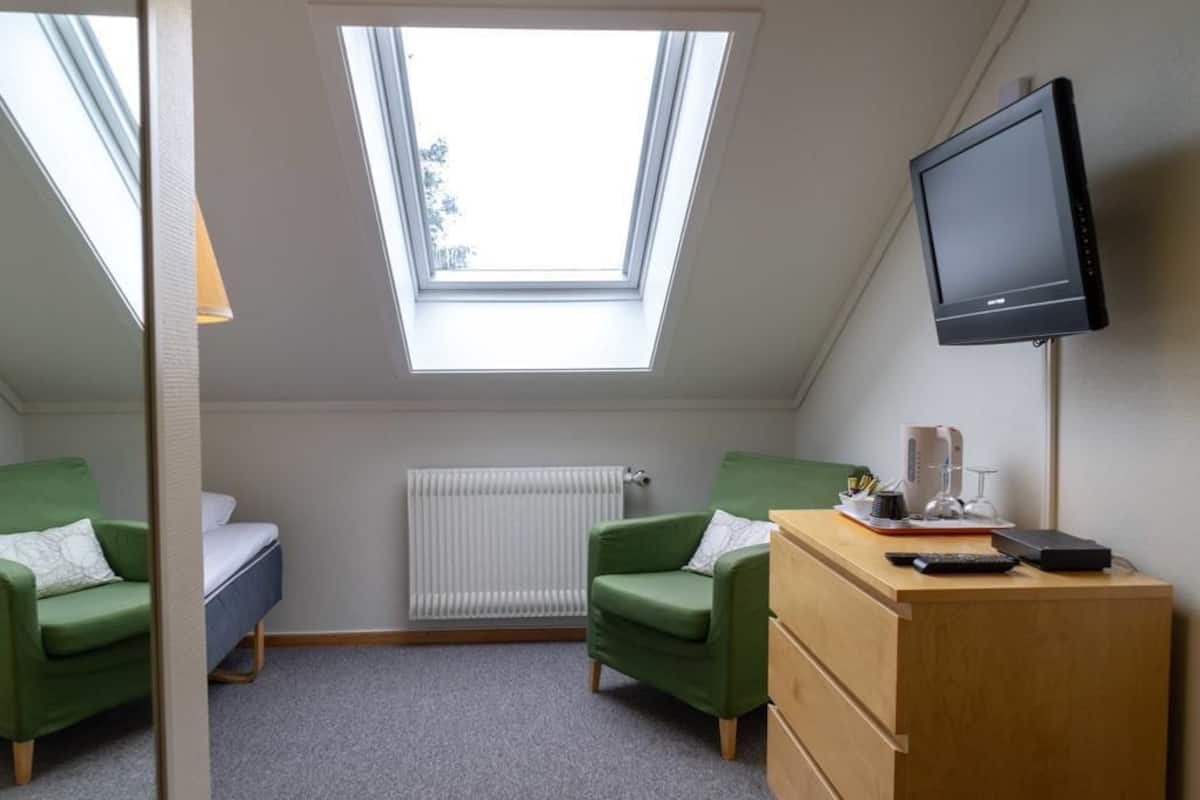 Standaard eenpersoonskamer, 1 eenpersoonsbed | Gratis wifi, beddengoed