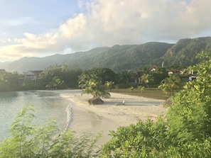 Ein Strand mit sandigem Ufer, Palmen und Häusern im Hintergrund.