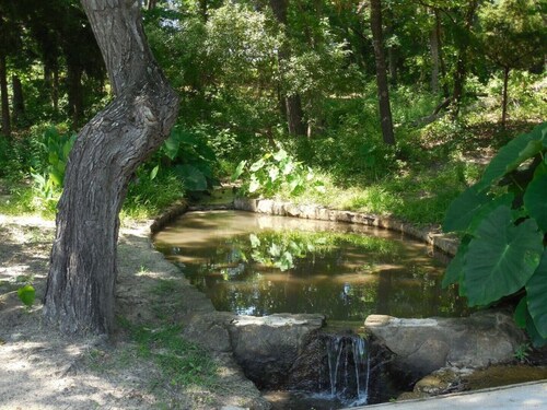 Beautiful and Peaceful Getaway in Mineola!