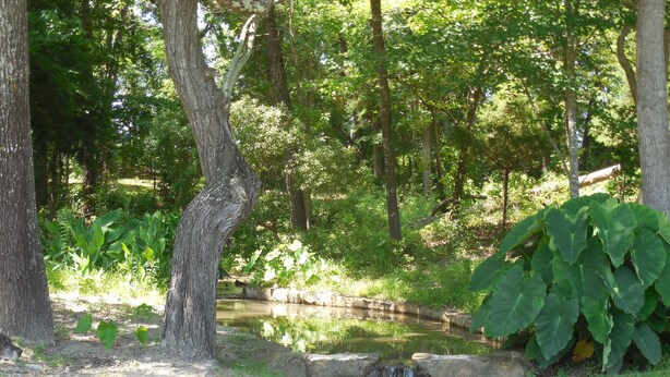 Un parc paisible avec un étang, des arbres et un chemin en béton.