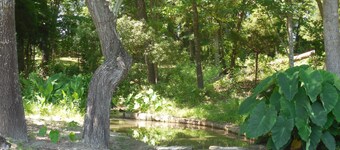 Separate comfortable guest house