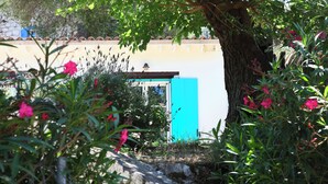 A garden with a stone wall, a tree, and a blue door.