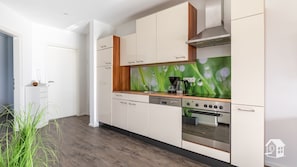 Fridge, oven, stovetop, dishwasher