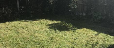 A grassy yard with a stone wall and trees.