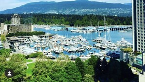 A marina with numerous boats docked, surrounded by buildings and a bridge in the background.