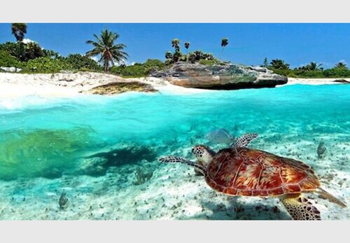 Baru Luxury Homes Cozumel