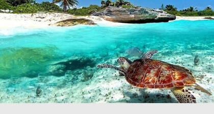 Baru Luxury Homes Cozumel