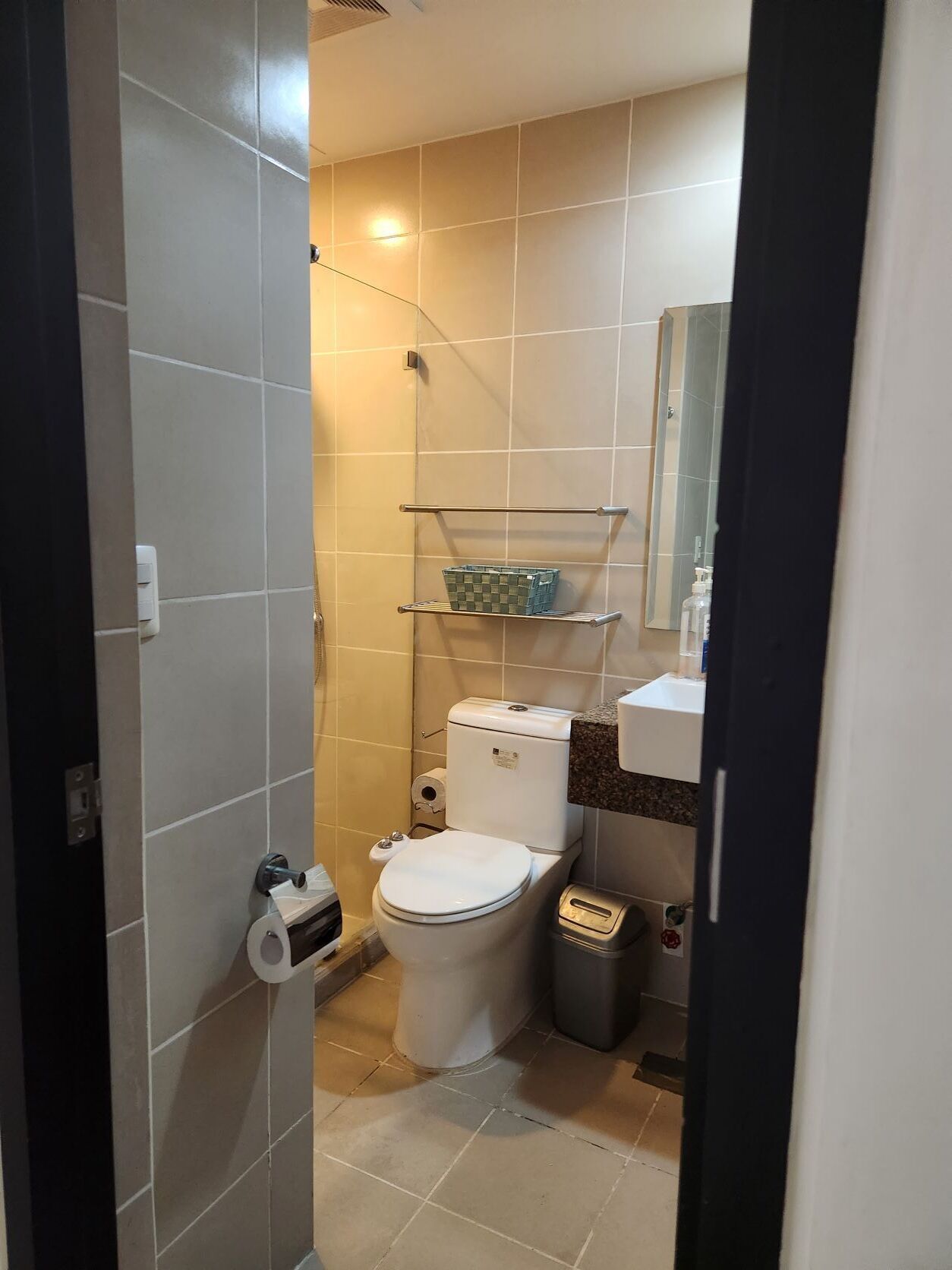Combined shower/tub, hair dryer, bidet, towels