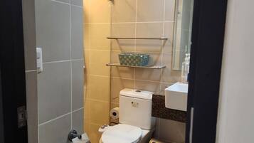 Combined shower/tub, hair dryer, bidet, towels