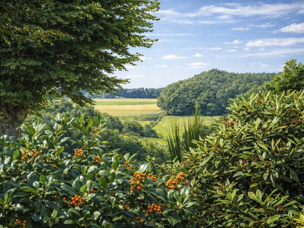 A lush landscape with dense foliage and a distant view of a green field.