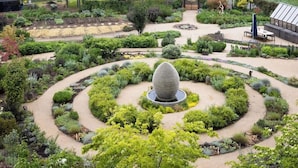 A garden with a central circular pathway, surrounded by various plants and a distinctive spherical structure.