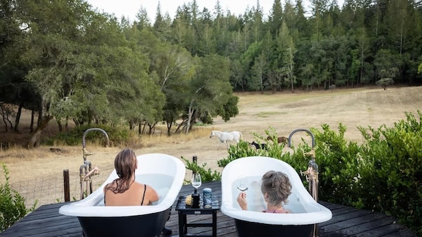 Two black bathtub chairs on a wooden deck with a table between them, overlooking a forested area with a white horse and a dog in the distance.
