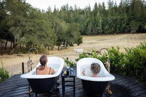 Deux chaises de style «chaise de bain» noires sont placées sur une terrasse en bois, avec une table entre elles. De là, on a une vue sur une zone boisée où l’on aperçoit, au loin, un cheval blanc et un chien.