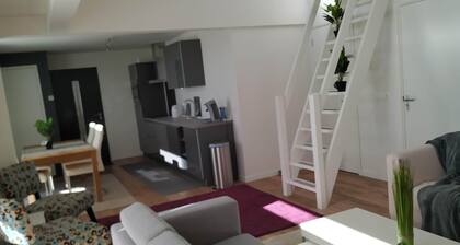 Tilava kodikas huoneisto Eindhovenissa (NL) liikematkailijoille