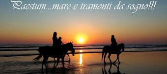 Callimaco's Home - DE LUXE