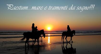 La casa de Callimaco - DE LUXE