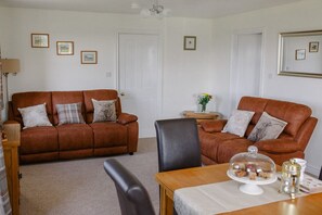 TV, DVD player, books