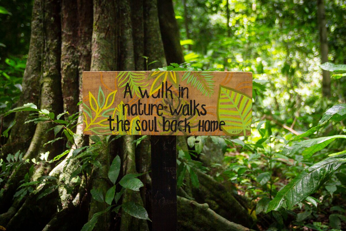 A sign in a forested area with the text "A walk in nature - walks the soul back home."