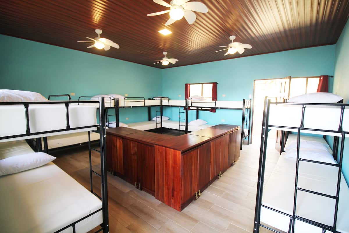 Economy Shared Dormitory, Mixed Dorm, Shared Bathroom | 1 bedroom, free WiFi, bed sheets