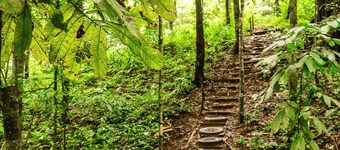 Téva Eco Retreat - Hostel