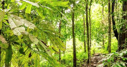 Téva Eco Retreat - Hostel