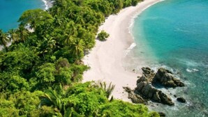 An aerial view of a tropical beach with dense greenery and clear turquoise waters. - Téva Eco Retreat - Hostel (Quepos)