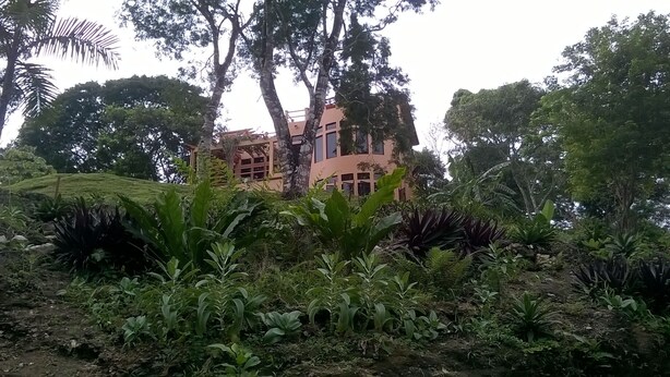 A building surrounded by dense tropical vegetation.
