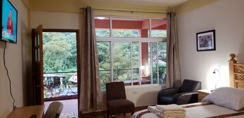 Deluxe Room, 1 Queen Bed | View from room