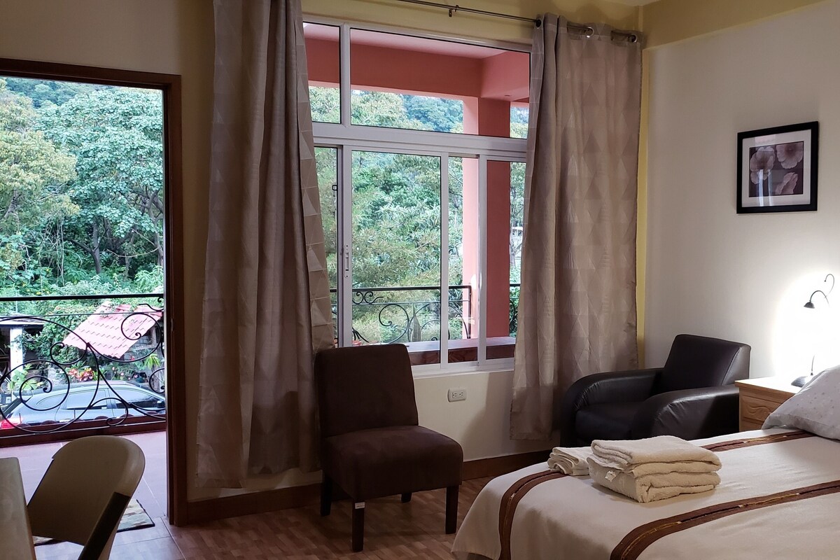 Habitación de hotel con cama, una silla, un escritorio y ventana con vista a vegetación.