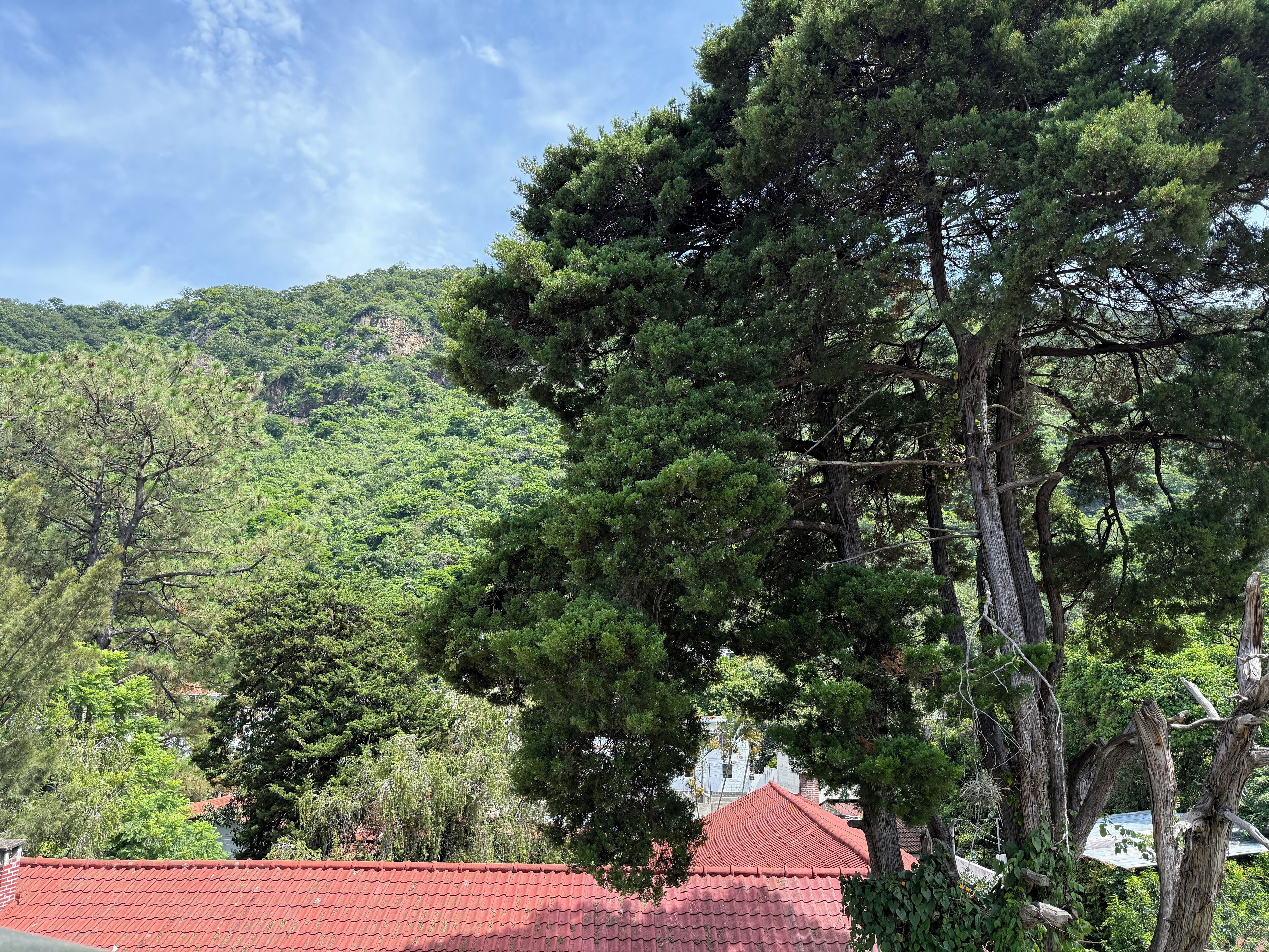 family apartment | terrace/patio