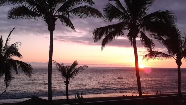 A sunset view with palm trees and the ocean. - Apartment Los Molinos (Puerto de Naos)