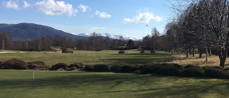 Golf